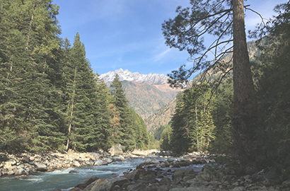 White balance before